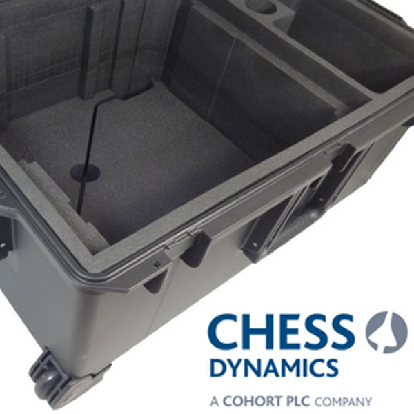 Chess Dynamics